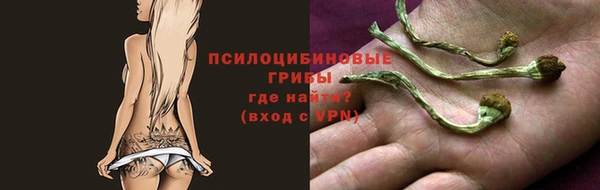 сатива Алексин